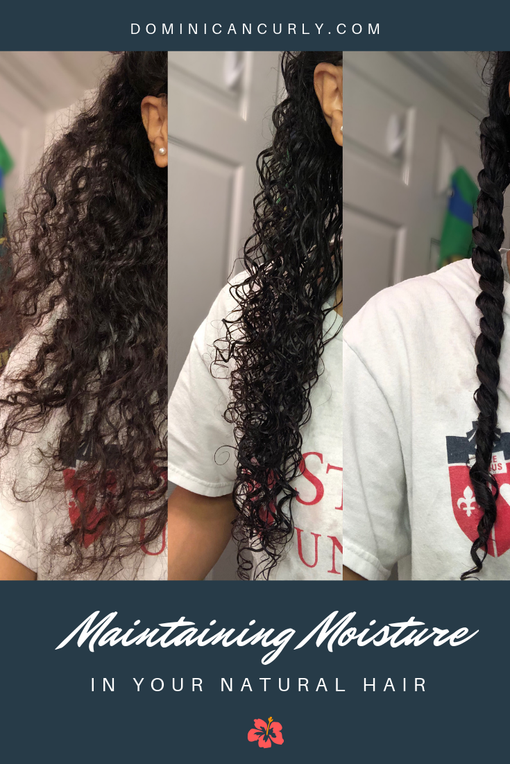 Maintaining Moisture in your Natural Hair