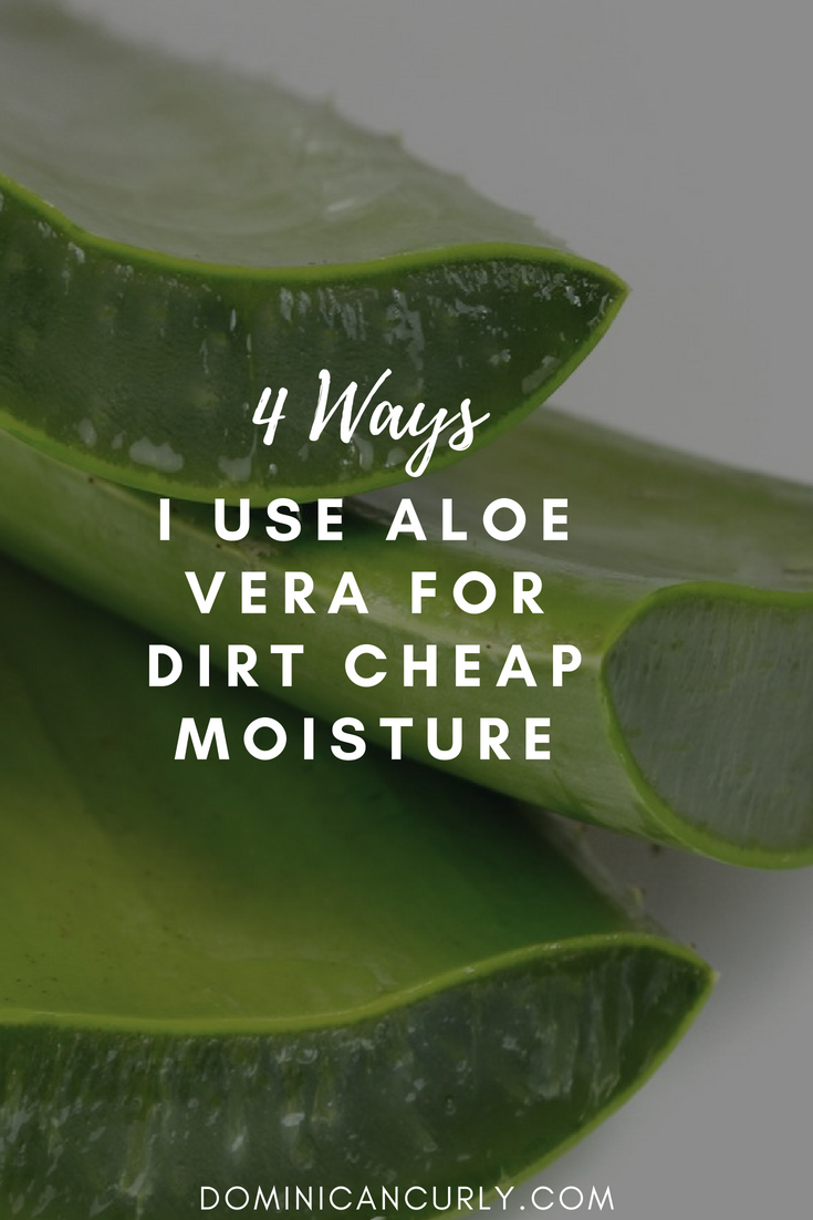 4 Ways I use Aloe Vera for Dirt Cheap Moisture