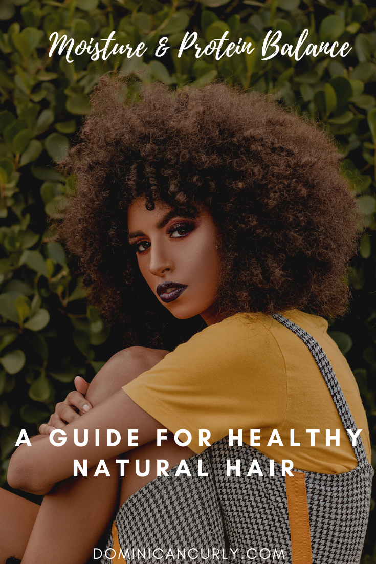 Moisture & Protein Balance: A Guide for Healthy Natural Hair